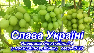 Слава України 2023