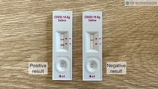 How to do your saliva test with SD Biosensor - STNADARD Q Rapid Test