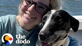 Woman Takes Lost Dog On Her Birthday Trip | The Dodo Soulmates