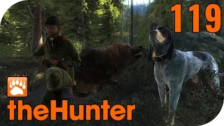 THE HUNTER #119 - TOFFEL entdeckt Timbergold Trails! 🐗 || Let's Play The Hunter || German