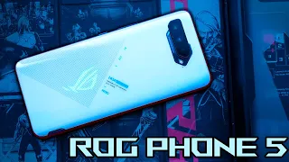 Первый взгляд на ИДЕАЛЬНЫЙ игровой смартфон - ASUS ROG Phone 5