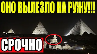 ТЫСЯЧИ ЛЕТ ЭТО ПРЯТАЛОСЬ!!! 07.11.2021!!! СФИНКС ЭТО ПРЯТАЛ В СЕБЕ... ДОКУМЕНТАЛЬНЫЙ ФИЛЬМ!!!