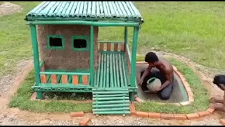 show you about Collect abandoned Dog and Build Mud Dog House