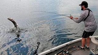 MUSKY FISHING WITH LIGHT TACKLE!! - Sight Fishing for Muskies in Ultra Clear Water