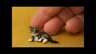 Very Cute Cats ❤ Best Funny Cat Videos 2021 #12