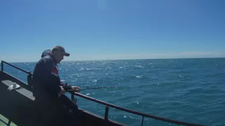 Whitby cod fishing on Chieftain boat 5