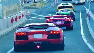 高速道路で爆音のスーパーカー集団に遭遇‼️《空吹かし 加速サウンド ランボルギーニ》