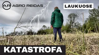 KATASTROFA LAUKUOSE || AGRO REIDAS