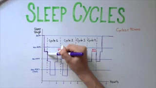 Sleep 5: Types of Sleep and Sleep Cycles