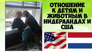 Отношение к детям и животным в Нидерландах и США