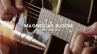 Corey Shields - Magnolias Bloom