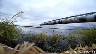Охота на водоплавующую дичь в ХМАО -Югре .5 сентября 2022 г.