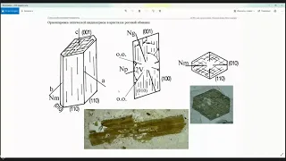 Петрография 09. Амфиболы.