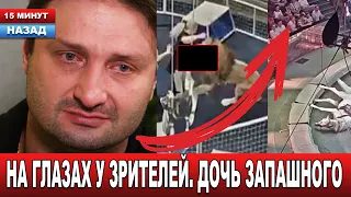 ОТЕЦ ПОДТВЕРДИЛ! Что на данный момент известно о ТРАГЕДИИ в Большом Московском цирке