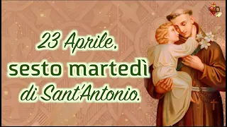 23 Aprile, sesto martedì di Sant’Antonio.