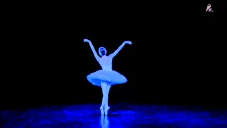 The Dying Swan / Ulyana Lopatkina /  瀕死の白鳥