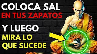 Coloca SAL en Tus Zapatos Antes de Salir y Observa lo que Sucede - Historia Zen - ESTOICISMO