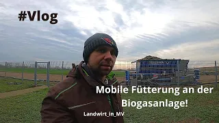 Vlog #34 Mobile Fütterung an der Biogasanlage!?
