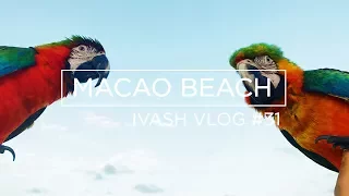Отдых в Доминикане. Пляж Макао. Trip to Dominican!  Macao beach! VLOG #31