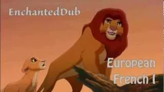 The Lion King 2 ~ We Are One ~【Simba's Part ~ Multilanguage Collab】