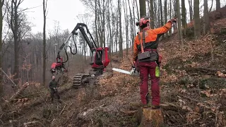 Logging - logger, harvester and other equipment