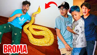 BROMA PESADA A MIS VECINOS CON UNA MEGA SERPIENTE!