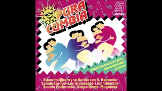 🎧VARIOS ARTISTAS - Pura Cumbia 1... y Algo Más (1995) [📀Calidad SONDOR]