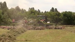 Complete details on Large Scale Potato farming Using RAINWATER from Sowing to Lorry Loading | 2020