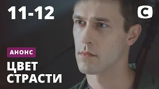 Что вас ждет в 11 и 12 сериях? – сериал Цвет страсти! Смотрите 1 декабря на СТБ