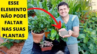 TRÊS ADUBOS RICOS EM FÓSFORO PARA PLANTAS DA SUA HORTA NO QUINTAL E EM VASOS (Ep143)