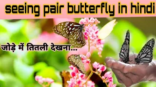 seeing pair butterfly meaning in hindi#butterfly #butterflymeaning #butterflies #spiritual #viral