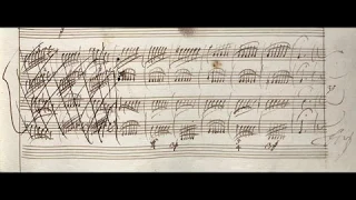 VIVALDI | Concerto RV 156 in G minor | Original manuscript