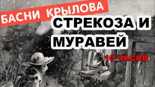 СТРЕКОЗА И МУРАВЕЙ, УЧИМ ВО СНЕ, 10 ЧАСОВ! Басня Крылова