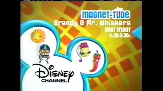Disney Channel Commercial Breaks and On Screen Bugs (January 28, 2005)