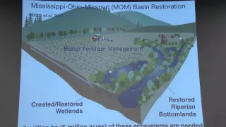 William Mitsch: Phosphorus and nitrogen and carbon, oh my!