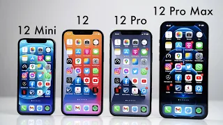 Apple iPhone 12 vs Mini vs 12 Pro vs 12 Pro Max - Die wichtigsten Unterschiede (Deutsch) | SwagTab