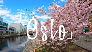 Exploring Oslo, Norway 4K, Walking Tour #4k #oslo  #norway #norge