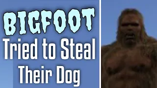 Bigfoot Tried to Steal Their Dog, then Stalked Their Property for MONTHS!