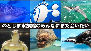 のとじま水族館（2021年7月）「大地震を乗り越えて、またみんなに笑顔を」