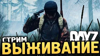 НОВИЧОК В DAYZ / ОПЯТЬ ВСЁ С НАЧАЛА / С НУЛЯ НА ЧАСТНОМ СЕРВЕРЕ / ВЫЖИВАНИЕ С НУЛЯ 2022