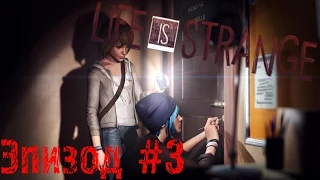 Взлом [Прохождение Life is Strange - Chaos Theory (Episode 3)] #1