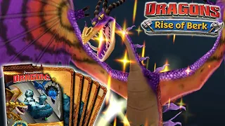 DRAGON ARENA!!!-Dragons:Rise of Berk