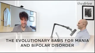 The evolutionary basis for mania and bipolar disorder