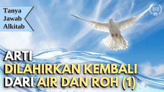 Tanya Jawab Alkitab Ep 48 - Arti Dilahirkan Kembali dari Air dan Roh (1)