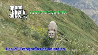 GTA V. Modo Historia.  Coleccionables. Las 20 fotografias de Animales