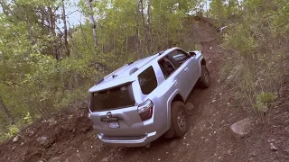 1 Year of Ownership Toyota 4Runner TRD Off Road Premium Review