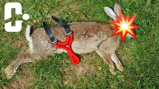 Catapult hunting Rabbit 8mm Steel