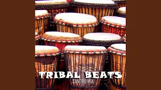 Tribal Beats (Original Mix)