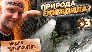 Как ПРИРОДА ПОБЕЖДАЕТ цивилизацию. Яшвантгад Форт. Махараштра. Гоа 2023 Влог #3