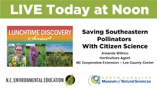 Lunchtime Discovery: Saving Southeastern Pollinators With Citizen Science
